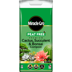 Evergreen Miracle-gro Cactus Bonsai Peat Free 6l
