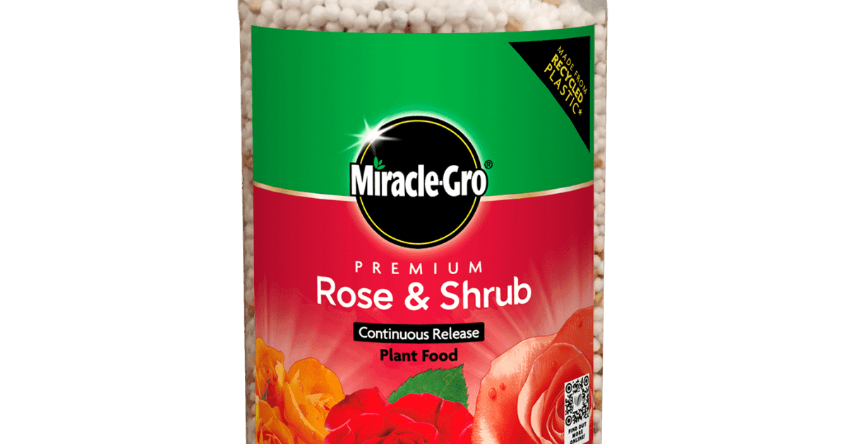 Evergreen Miracle-gro Rose Cont Rel 4x900g 900 G