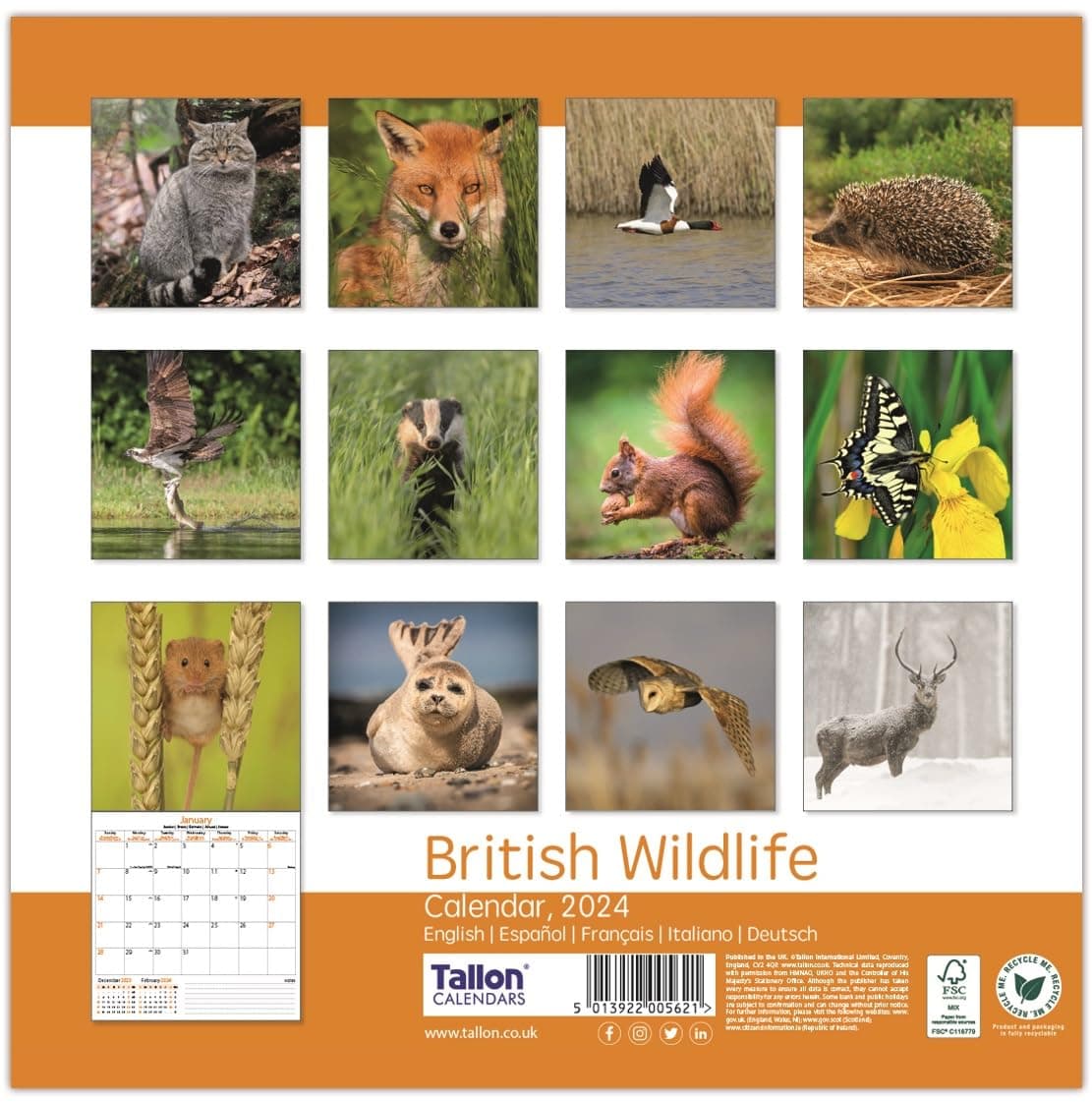Tallon Square Calendar: Animal Families and Cute & F