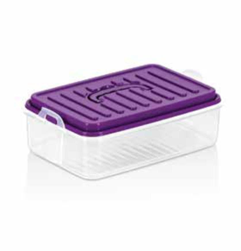 Asude Plastic Multi Purpose Storage Box