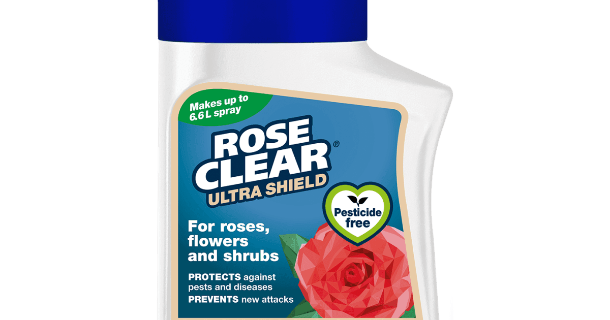 Evergreen Clear Rose Clear Ultra Shield Conc 200ml
