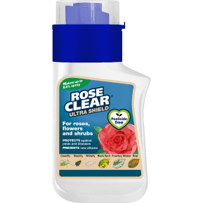 Evergreen Clear Rose Clear Ultra Shield Conc 200ml