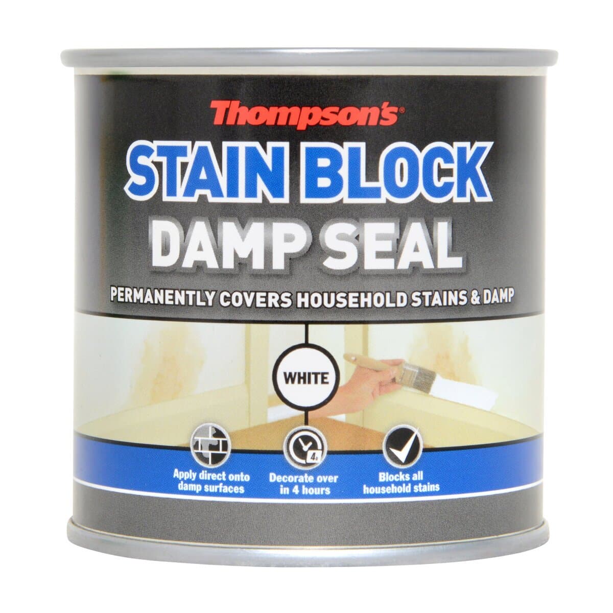 Thompsons Damp Seal 250ml