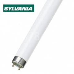 3FT 30W Daylight Tube